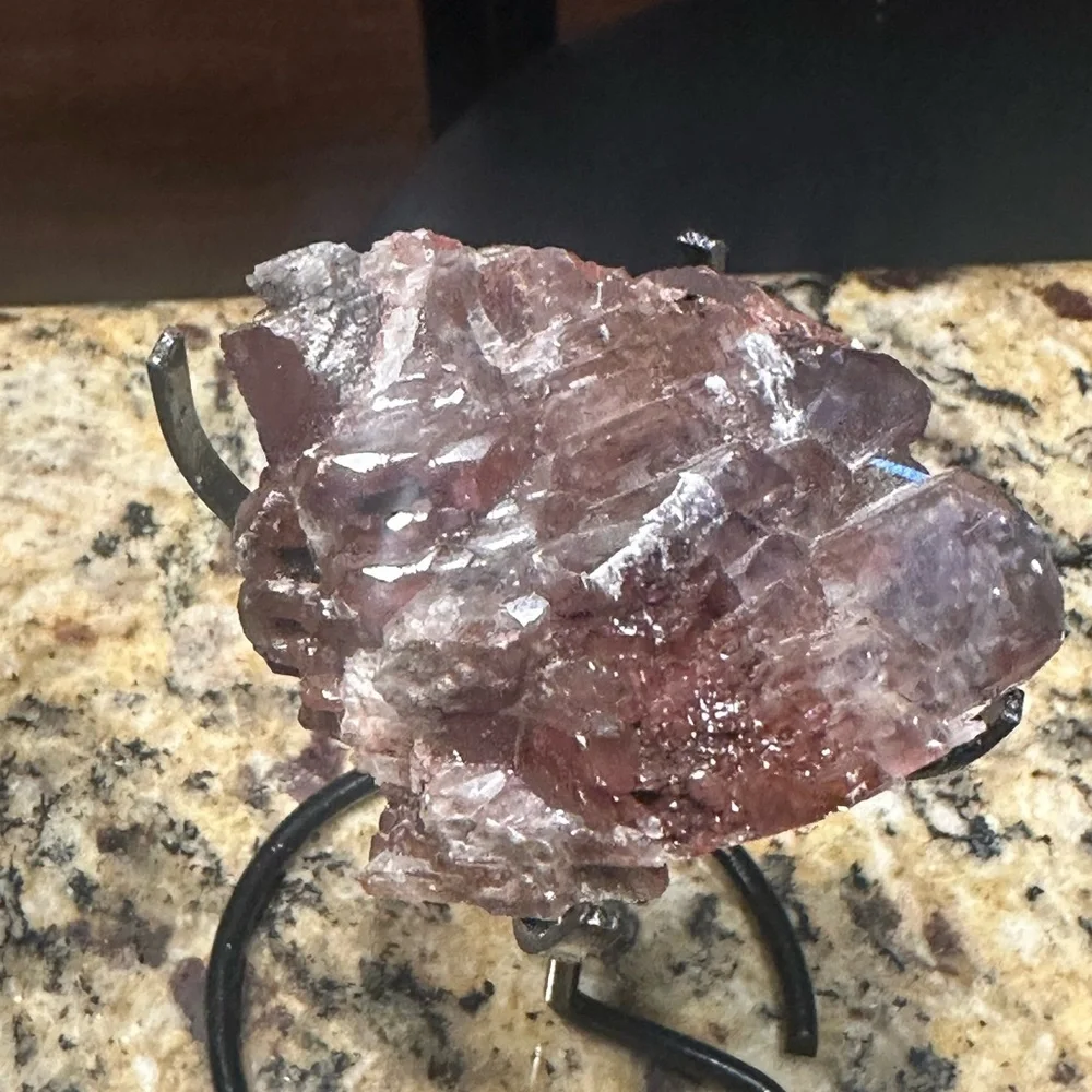 Giving Tree Collection - Picture 5 of 12